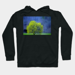 Lone Tree Hoodie